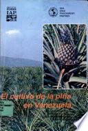 El cultivo de la Piña en Venezuela