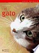 El gato