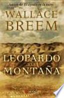 El leopardo y la montaña