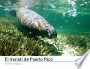 El manati de Puerto Rico