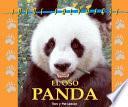 El oso panda