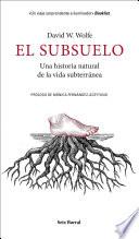 Libro El subsuelo