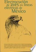 Electrocución de aves en líneas eléctricas en México