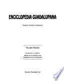 Enciclopedia guadalupana