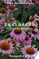 Equinácea