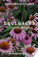 Equinácea