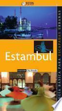 Estambul. Preparar el viaje: guía cultural