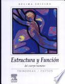 Estructura y Función del Cuerpo Humano