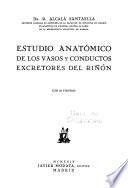 Estudio anatómico de los vasos y conductos excretores del riñón ...