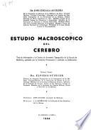 Estudio macroscópico del cerebro
