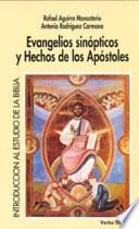 Evangelios sinópticos y Hechos de los Apóstoles