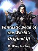 Fantastic Bead of the World's Original Qi