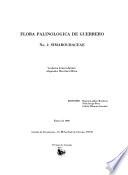 Flora palinológica de Guerrero: Simaroubaceae