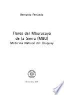 Flores del Mburucuyá de la Sierra (MBU)