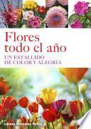 Flores todo el año, Un estallido de color y alegría