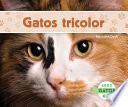 Gatos tricolor (Calico Cats) (Spanish Version)