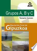 Grupos A,b Y C D de la Diputacion Foral de Guipuzcoa. Temario Comun Ebook