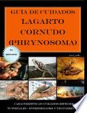 Guía de cuidados del lagarto cornudo (Phrynosoma) Versión económica