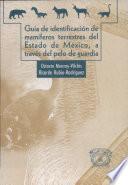Guia del identificacion de mamiferos terresters del Estado de Mexico, a traves del pelo de quardia