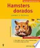 Hamsters dorados