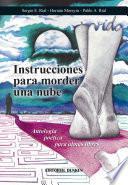 Instrucciones para morder una nube