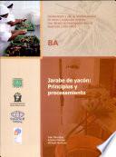 Jarabe de yacon: Principios y procesamiento