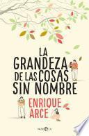 La grandeza de las cosas sin nombre