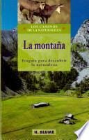 La montaña