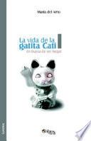 La Vida de La Gatita Cati I. En Busca de Un Hogar