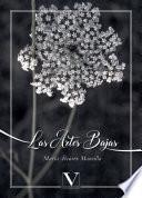 Las Artes Bajas