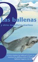 Las ballenas y otros mamíferos marinos