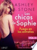 Las chicas de Sophie 3: Fuego en las entrañas - Una novela erótica