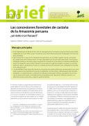 Las concesiones forestales de castaña de la Amazonía peruana