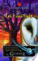 Las Llamas / The Burning