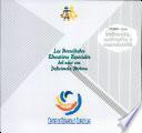 Las necesidades educativas especiales del niño con deficiencia motora