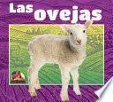Las Ovejas (Sheep)