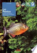 Las pirañas: Anatomía, alimentación, reproducción, enfermedades, cría en acuario