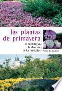 Las plantas de primavera. El calendario, la elección y los cuidados