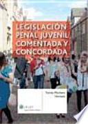 Libro Legislación penal juvenil comentada y concordada