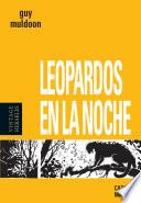 Leopardos en la noche