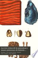 Los tres reinos de la naturaleza o museo pintoresco de historia natural: Mineralogía