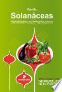 Manual para el cultivo de hortalizas. Familia Solanáceas