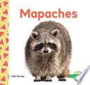Mapaches (Raccoons)