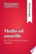 Medio sol amarillo de Chimamanda Ngozi Adichie (Guía de lectura)