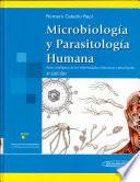 Microbiologia y parasitologia humana / Microbiology and Human Parasitology
