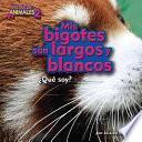 MIS Bigotes Son Largos y Blancos (Red Panda)