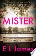 Mister (En español)