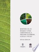 Monitoreo de los bosques y otras coberturas de la Amazonia colombiana, datos del año 2007.