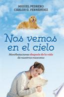 Nos vemos en el cielo