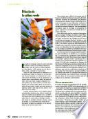 Obras